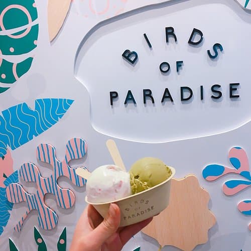Birds of Paradise Gelato